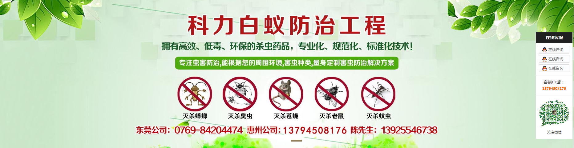 素材 (4).png
