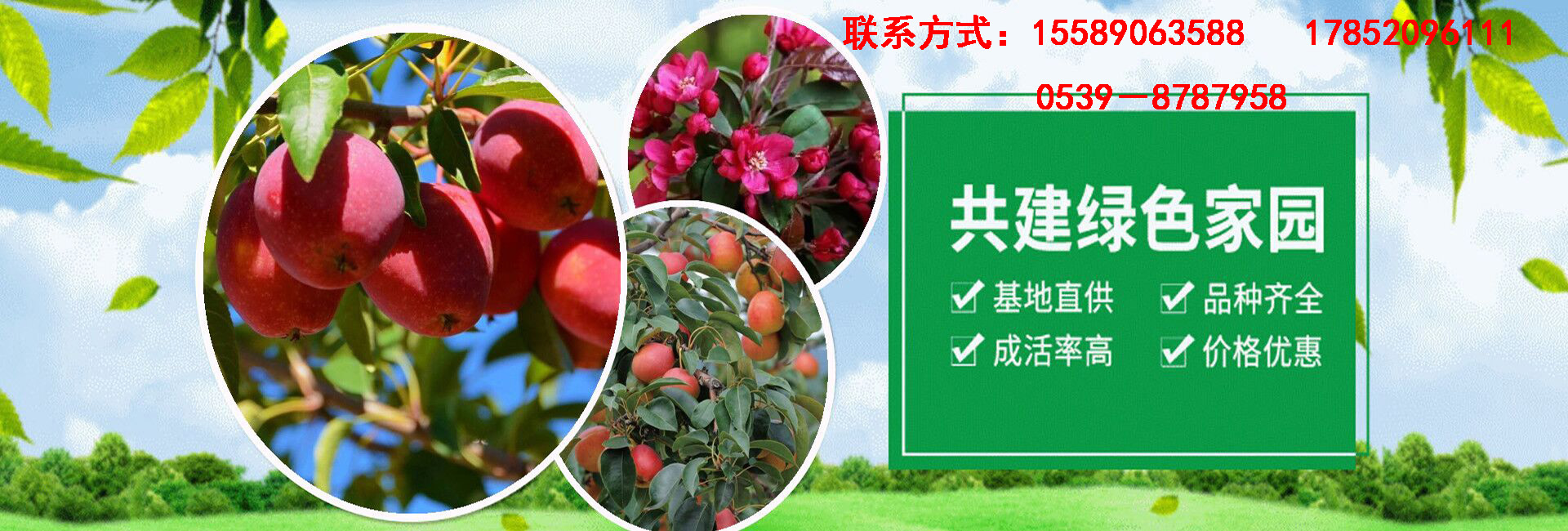 轮2.jpg