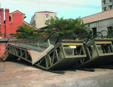 3903007.jpg