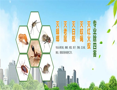 u=2528100146,2669626658&fm=253&fmt=auto&app=138&f=JPEG.webp.jpg