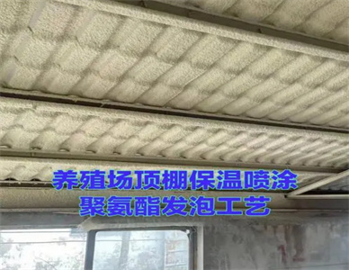 QQ截图20240420180021.jpg