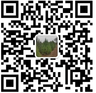 QQ截图20240725165753.png