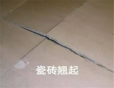 微信截图_20241112213046.jpg