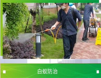 微信截图_20241121214913.jpg