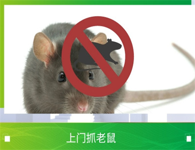 微信截图_20241121214925.jpg