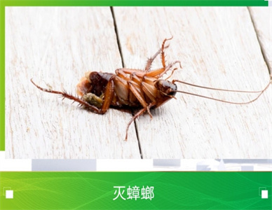 微信截图_20241121214941.jpg
