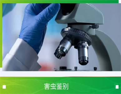 微信截图_20241121215021.jpg
