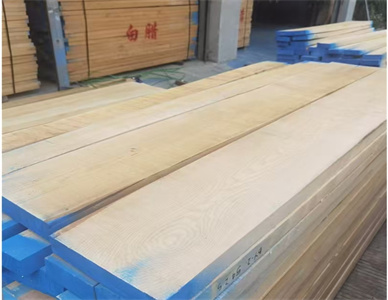 微信截图_20241213193640.jpg